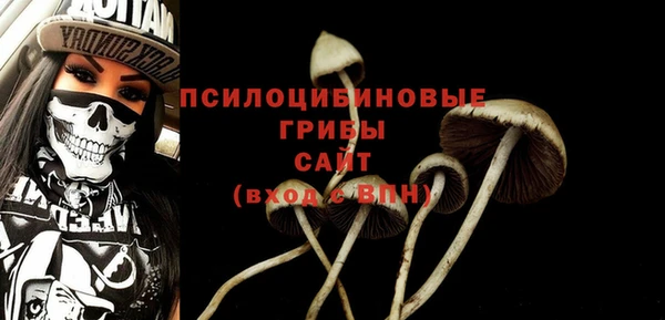 индика Киренск