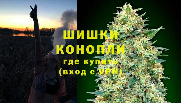 PSILOCYBIN Козельск