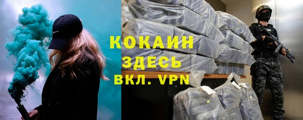 PSILOCYBIN Козельск