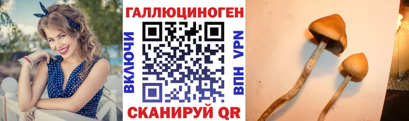 Галлюциногенные грибы GOLDEN TEACHER  Купить где  Красновишерск 